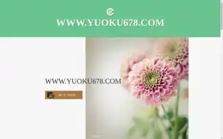 Bungas.top Screenshot 2024-07-07 15:43:56