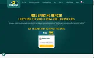 Free-spins.net Screenshot 2024-07-07 18:49:33
