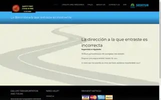 Deluxetransportationandtours.com Screenshot 2024-04-23 23:45:44