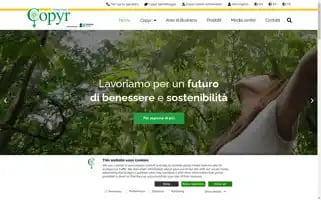 Copyr.eu Screenshot 2024-07-02 10:55:13