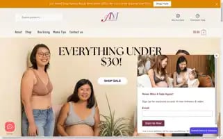 Anneematthew.com Screenshot 2024-06-12 19:26:34