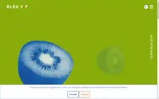Bleuvif.com Screenshot 2024-06-17 00:37:03