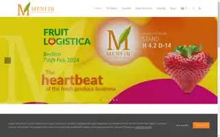 Menfin.eu Screenshot 2024-07-09 10:58:05