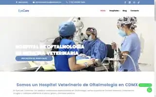 Hospitaleyecare.com Screenshot 2024-06-18 03:30:51
