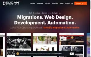Pelicancommerce.com Screenshot 2024-06-12 03:29:47