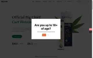 Bigchiefcarts.online Screenshot 2024-05-24 13:37:23