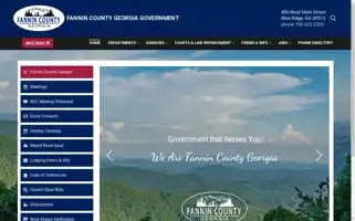 Fannincountyga.com Screenshot 2024-06-13 08:03:54
