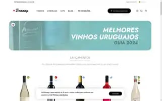 Braaay.com Screenshot 2024-06-14 14:57:31