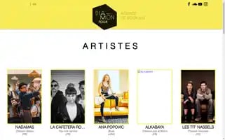 Diamontour.com Screenshot 2024-04-24 03:21:51