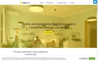 Salestonic.fr Screenshot 2024-06-17 02:10:03