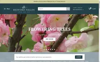 Bedfordfields.com Screenshot 2024-05-08 17:43:52