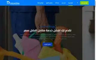 Dust-and-shine-tunis.com Screenshot 2024-05-28 11:02:41