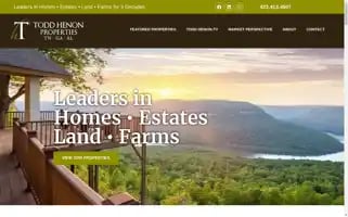 Toddhenon.com Screenshot 2024-06-30 12:30:52