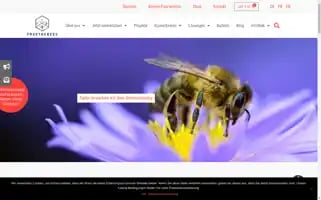 Freethebees.ch Screenshot 2024-06-12 14:50:17