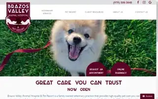 Brazosvalleyanimalhospital.com Screenshot 2024-05-15 15:26:18
