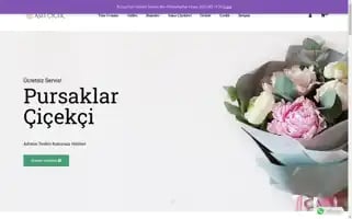 Aselcicekcilik.com Screenshot 2024-05-27 16:32:51