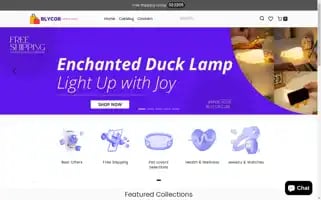 Blycor.com Screenshot 2024-05-03 21:37:55