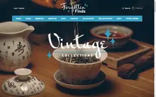 Forgottenfinds.com Screenshot 2024-05-26 16:47:08