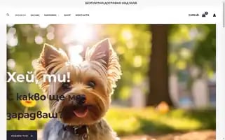Nalabo.online Screenshot 2024-05-27 12:16:15