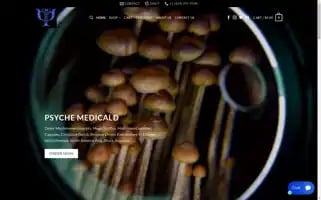 Psychemedicald.com Screenshot 2024-06-26 21:41:17