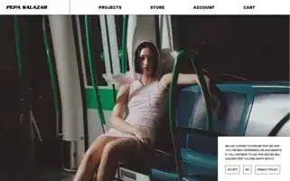 Pepasalazar.com Screenshot 2024-06-12 02:58:13