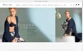 Touchechile.cl Screenshot 2024-05-04 07:38:26