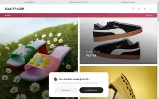 Soletraderoutlet.com Screenshot 2024-05-16 18:04:45