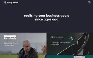 Hairylemon.co.nz Screenshot 2024-06-29 05:06:49