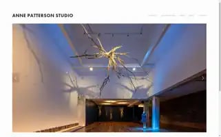 Annepatterson.com Screenshot 2024-07-05 21:06:08