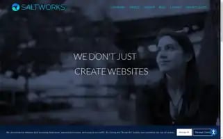 Saltworksdigital.com Screenshot 2024-07-03 07:24:02