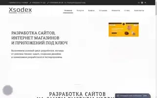 Xsodex.ru Screenshot 2024-06-17 21:09:34