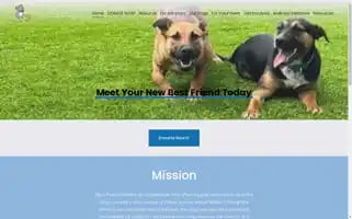 Ellijaypaws.org Screenshot 2024-07-06 00:41:56