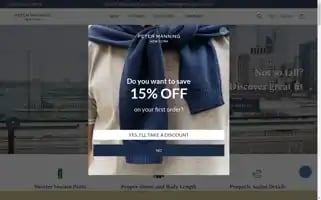 Petermanningnyc.com Screenshot 2024-05-04 03:29:02