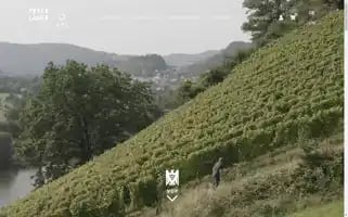 Lauer-ayl.de Screenshot 2024-06-11 07:21:47