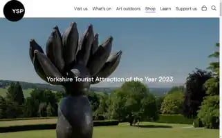 Ysp.org.uk Screenshot 2024-06-30 22:32:04