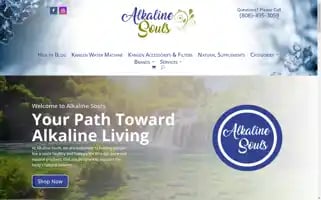 Alkalinesouls.com Screenshot 2024-06-15 04:20:18