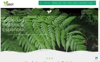 Sebot.org Screenshot 2024-07-01 21:51:00