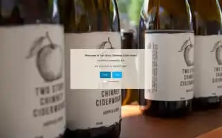 Twostorychimney.com Screenshot 2024-06-13 13:47:25