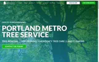 Mangoldstreeservices.com Screenshot 2024-07-06 18:34:38