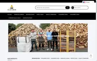 Allo-holz.com Screenshot 2024-05-22 15:29:29