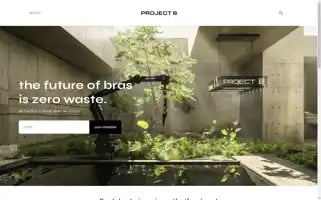 Project-b.co Screenshot 2024-06-15 20:13:24