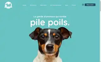 Pilepoilsplumes.fr Screenshot 2024-07-07 19:28:27