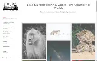 Leehoyphotography.com Screenshot 2024-06-24 17:36:50