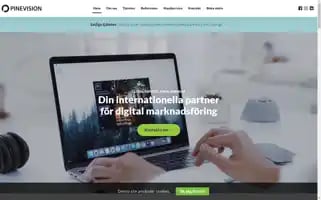 Pinevision.se Screenshot 2024-06-14 17:42:51