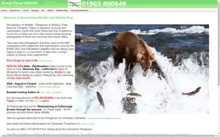 Davidshawwildlife.co.uk Screenshot 2024-07-05 16:39:55