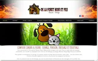 Elevage-pension-canine-31.com Screenshot 2024-06-15 17:00:40