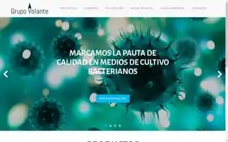 Grupovolante.com Screenshot 2024-07-04 12:46:16