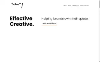 Savyagency.com Screenshot 2024-06-29 15:40:45