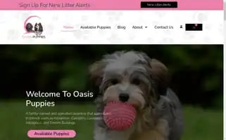 Oasispuppies.com Screenshot 2024-06-28 16:40:18