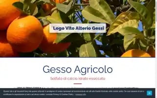 Gessoagricolo.it Screenshot 2024-07-09 11:01:39